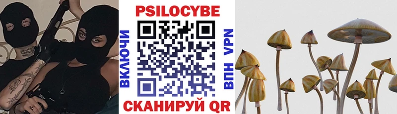 Галлюциногенные грибы прущие грибы  Костерёво 